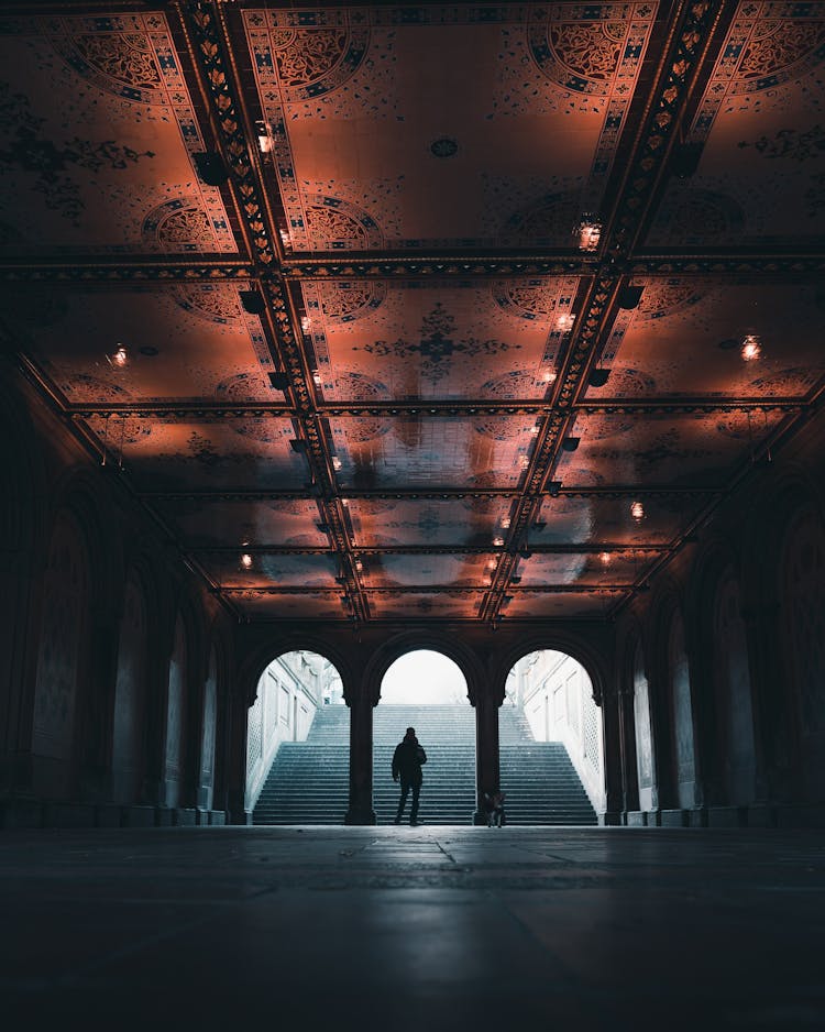 Silhouette Of A Man Standing Under The Bethesda Terrace In Central Park, New York City, New York, USA