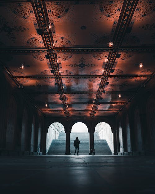 Free Silhouette of a Man Standing Under the Bethesda Terrace in Central Park, New York City, New York, USA Stock Photo