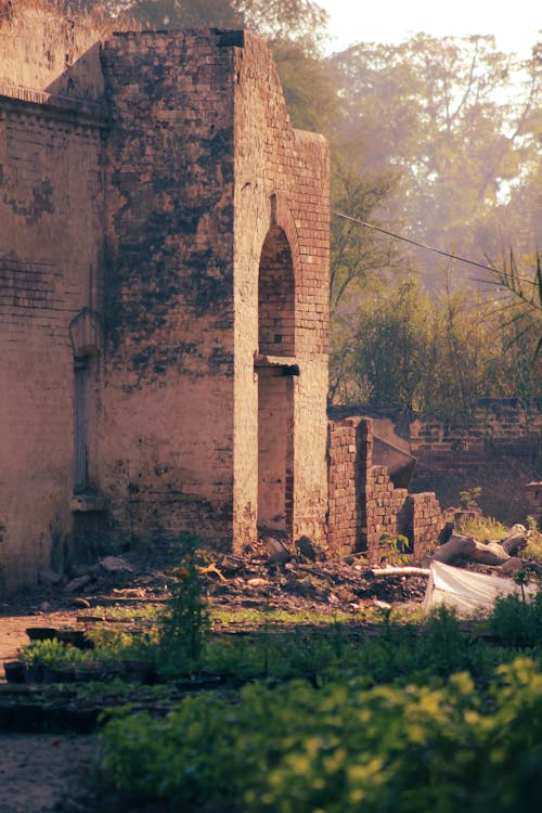 Trees around Damaged Fortification Gate