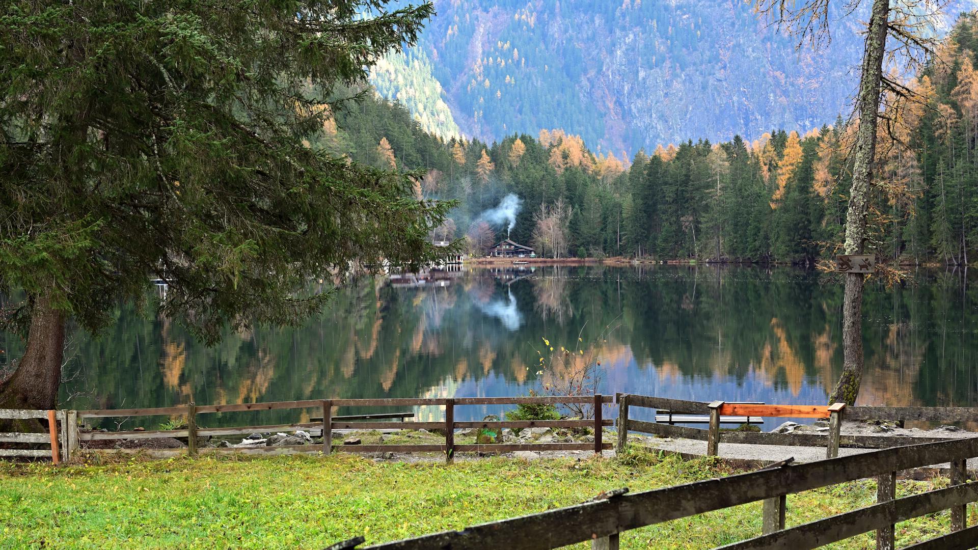 Autumn Forest Reflecting in Lake