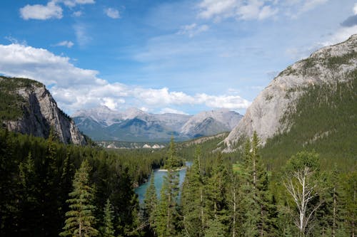 Mountain Landscape in Summer