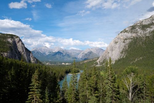 Free Breathtaking view of mountains over lush forest and river in Banff National Park. Stock Photo
