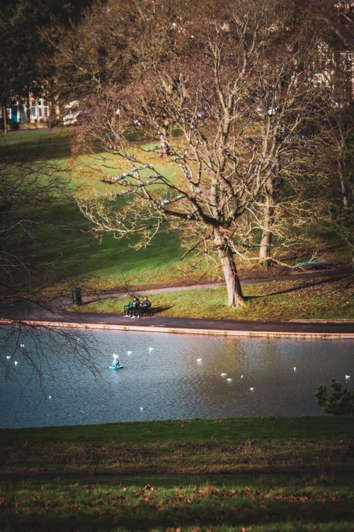 Free Serene pond view in a park with trees and distant people in Bristol, UK. Stock Photo