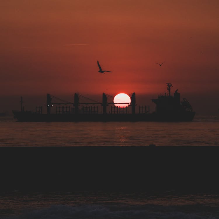 Základová fotografie zdarma na téma horizont, moře, nákladní loď