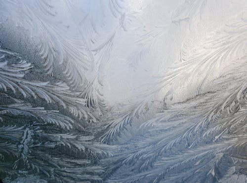 Frost on Window Pane