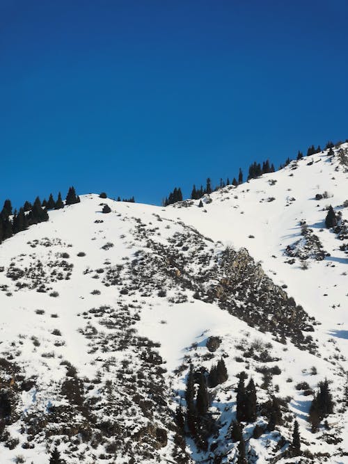 Snow Covered Mountain Under Blue Sky
