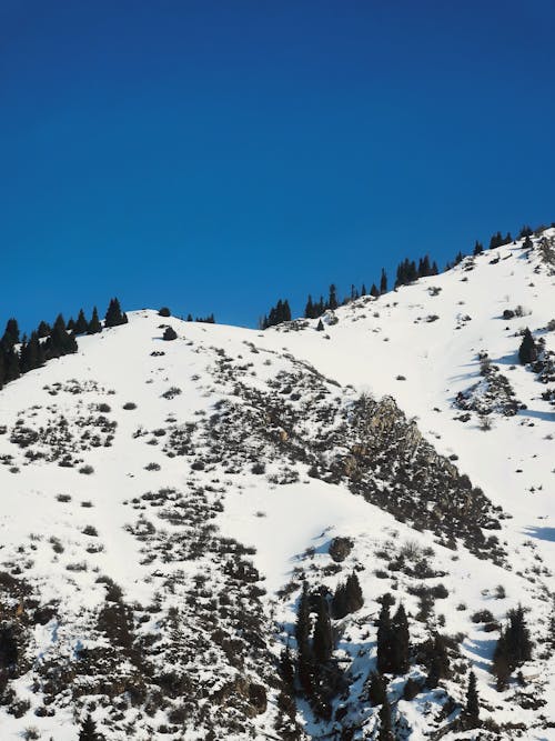 Photos gratuites de ciel bleu, froid, hiver