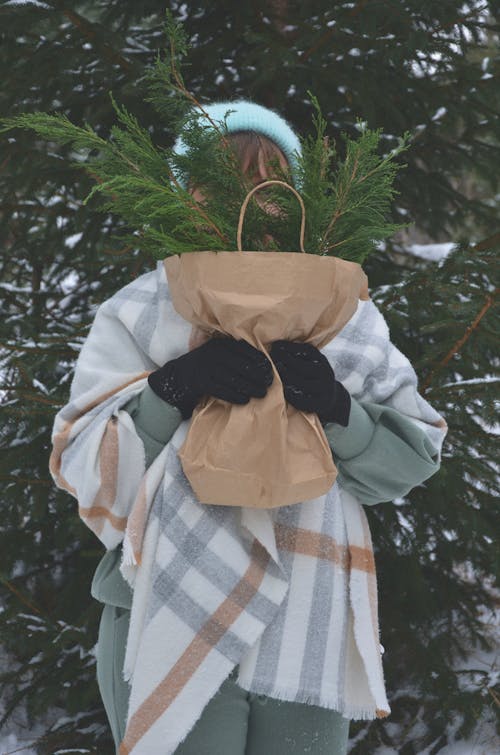 Photos gratuites de bonnet en tricot, écharpe, feuilles de pin