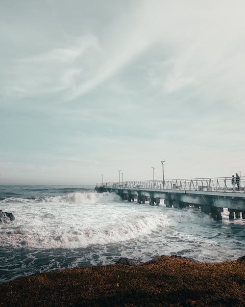 Kostenloses Stock Foto zu meer, meeresküste, schaum