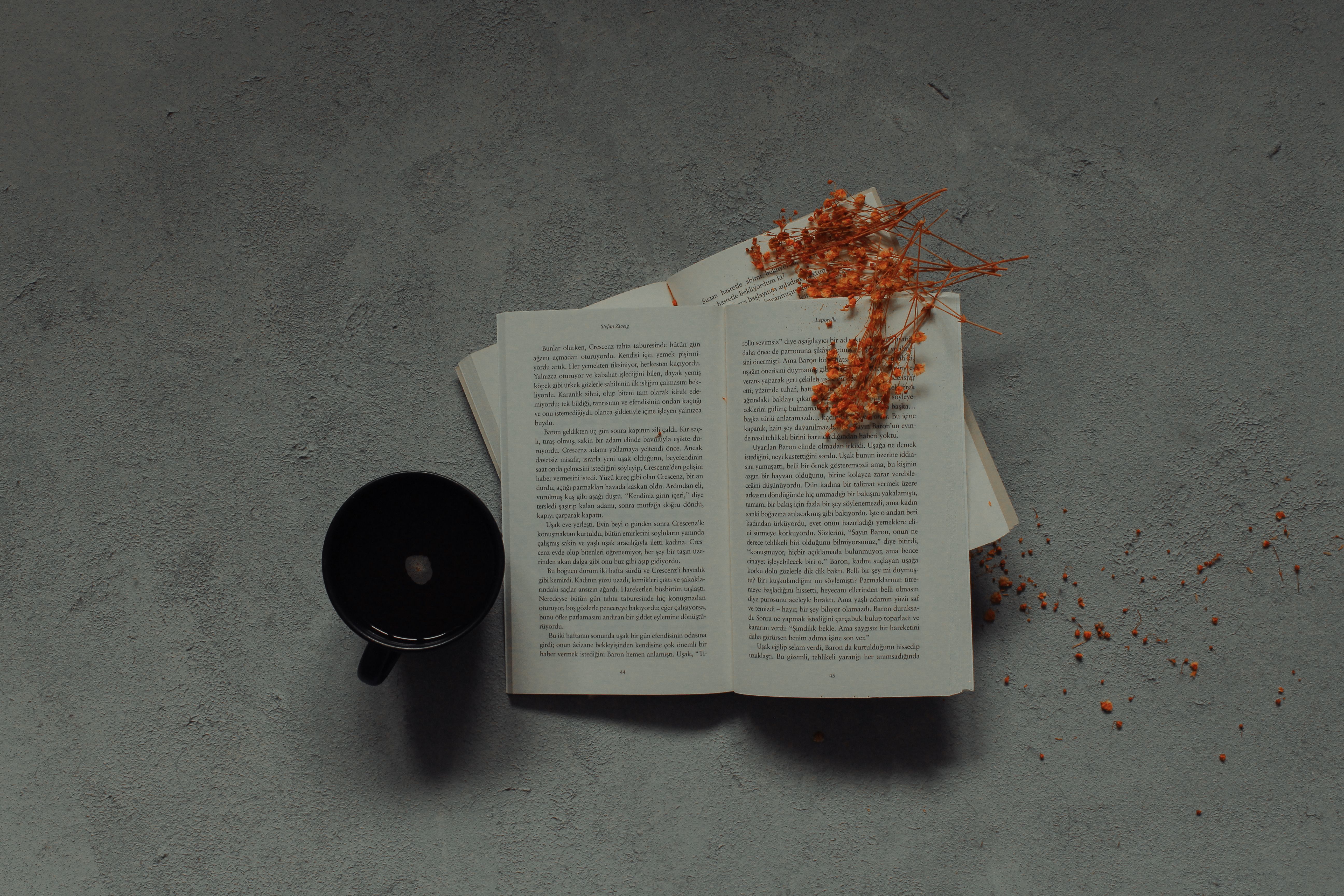 Flat lay of an open book with a black cup and dried branches on a textured gray background.