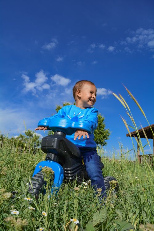 Free A happy child enjoying a summer day riding a toy bicycle in a rural setting. Stock Photo