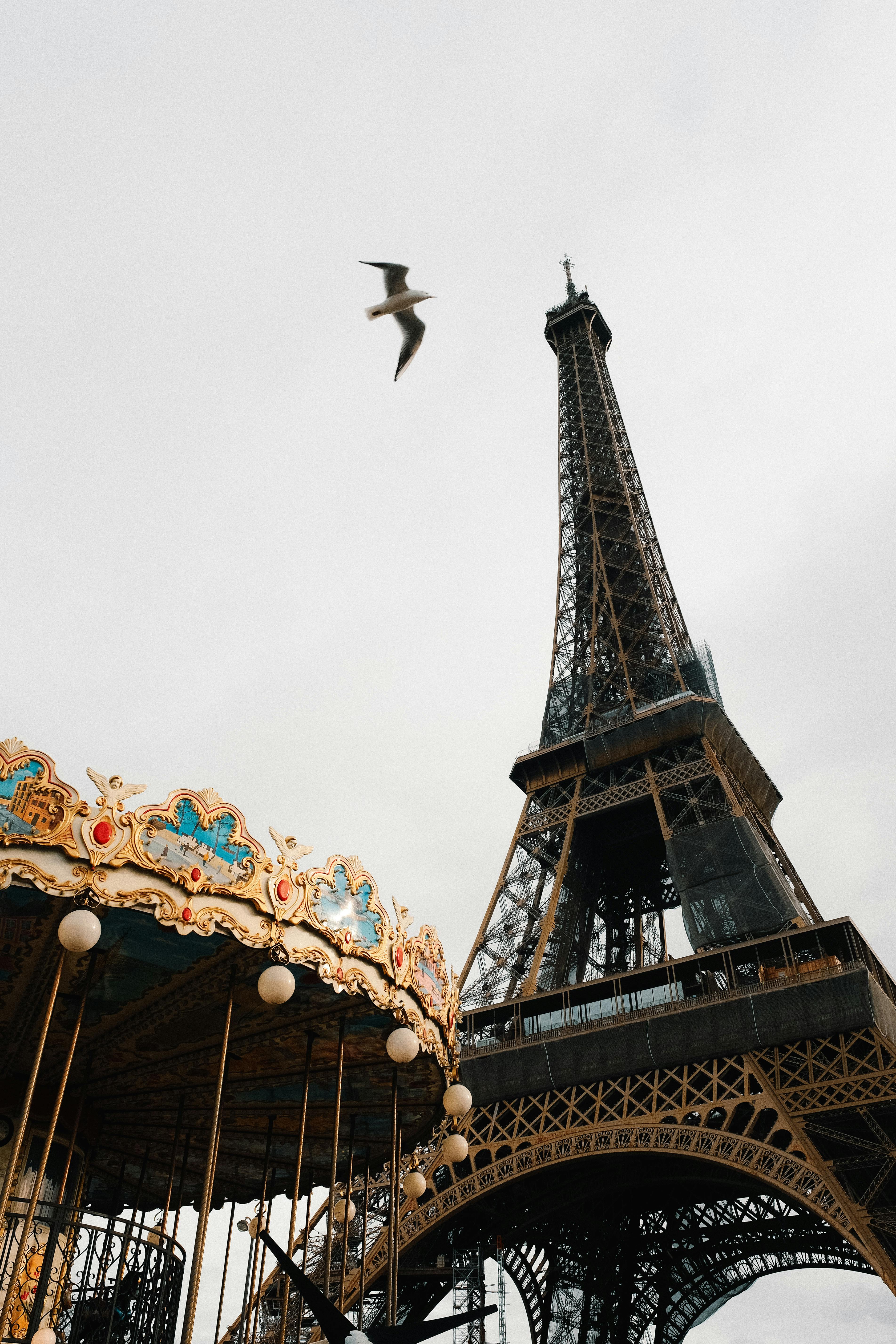 Hãy trang trí điện thoại của bạn bằng hình nền tháp Eiffel đầy cảm hứng. Hình ảnh sẽ mang lại cho bạn một cảm giác trọn vẹn về sự nghiêng nước nghiêng thành của kiệt tác kiến trúc này. Bạn còn chờ gì mà không tải ngay hình nền này về điện thoại của mình?