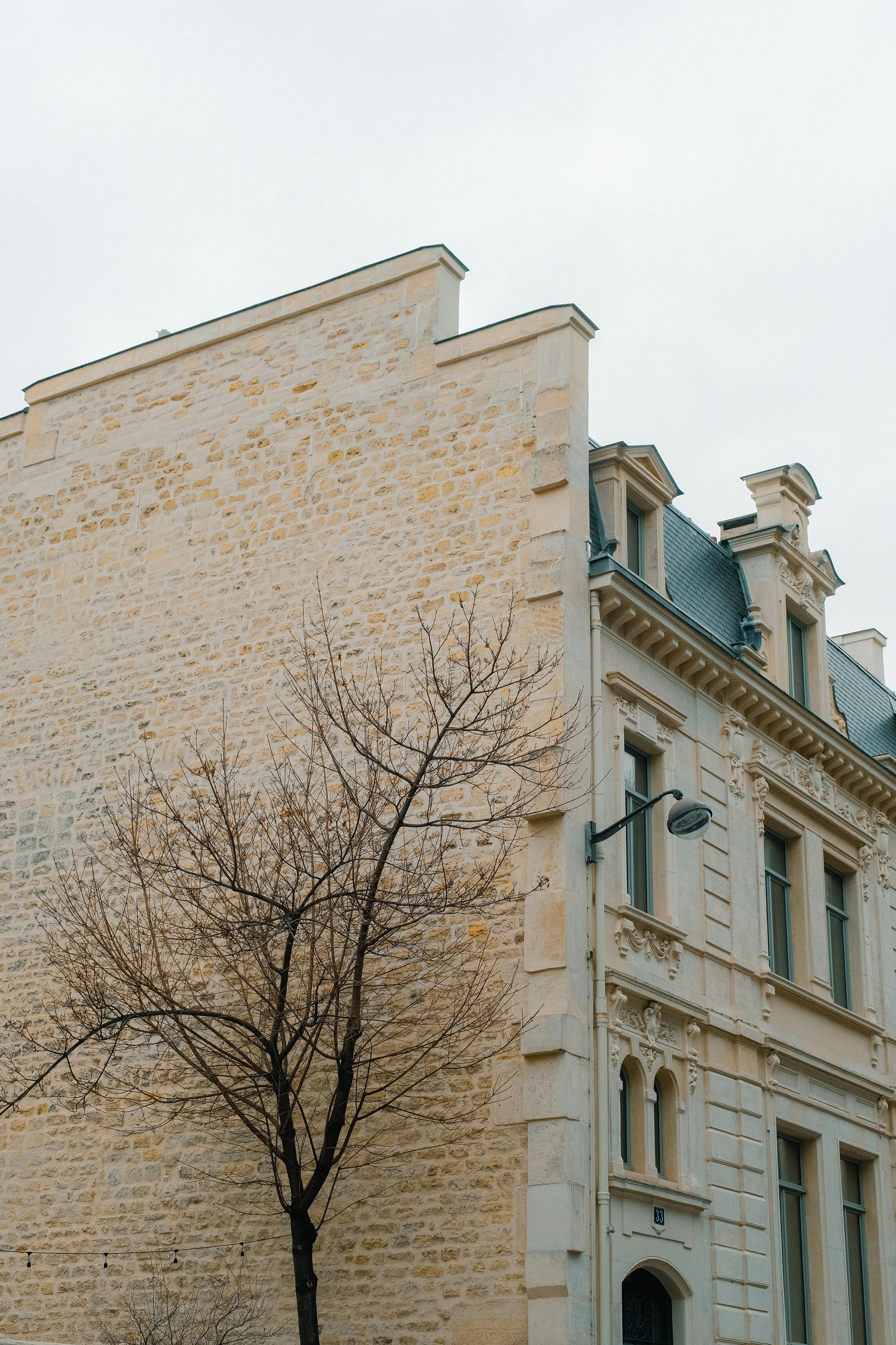 Elegant stone building facade with a lone bare tree in an urban setting, capturing a classic architectural style.