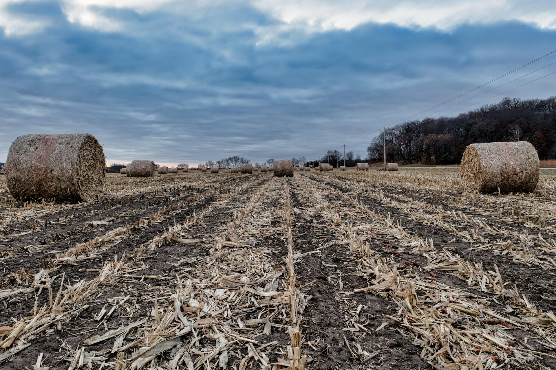 Free stock photo of agriculture, bale, country