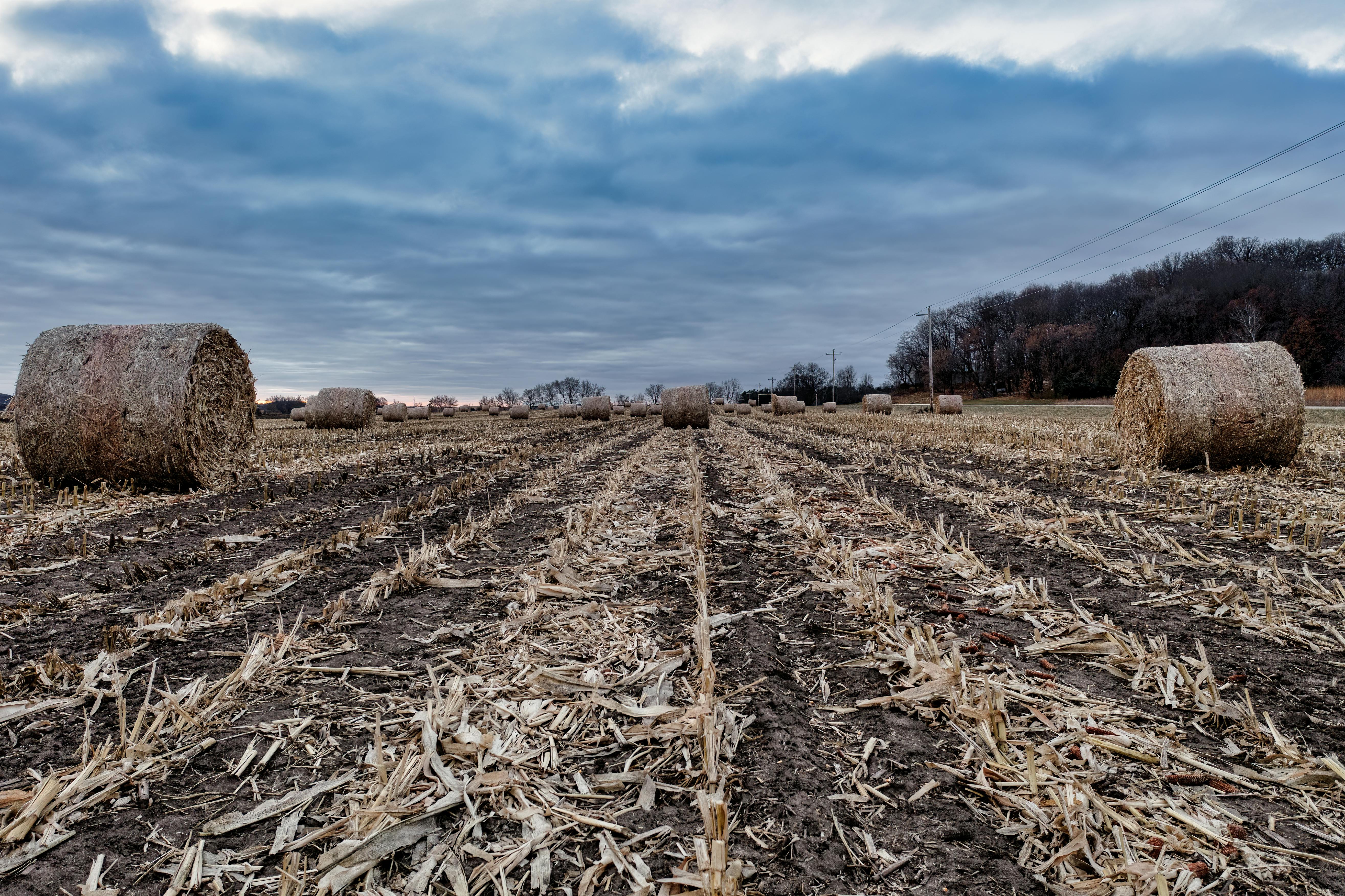 Love Spills Over Hay Bales