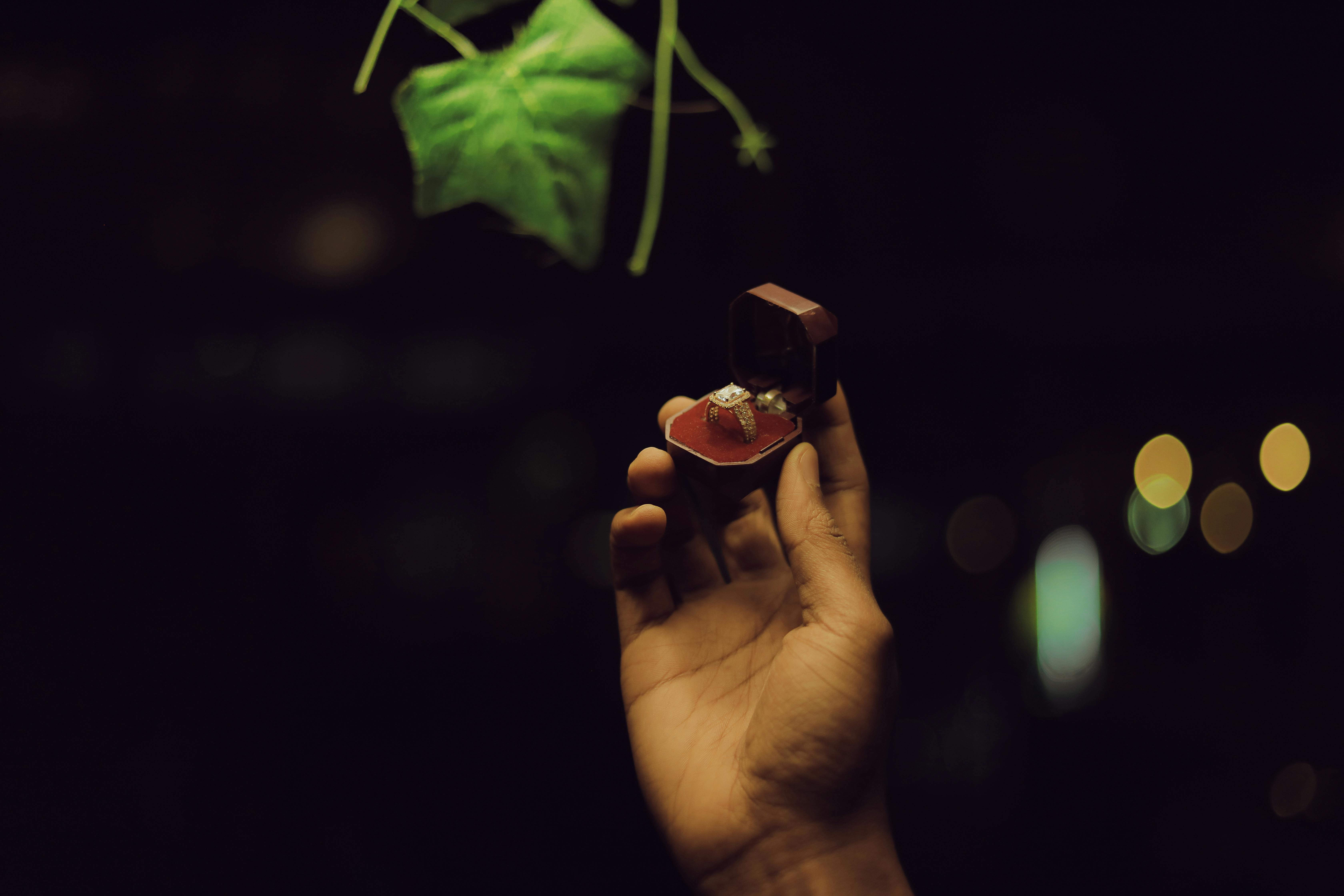 Zelensky's Proposal Unveiled