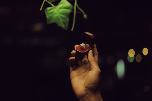 A Person Holding a Diamond Ring 