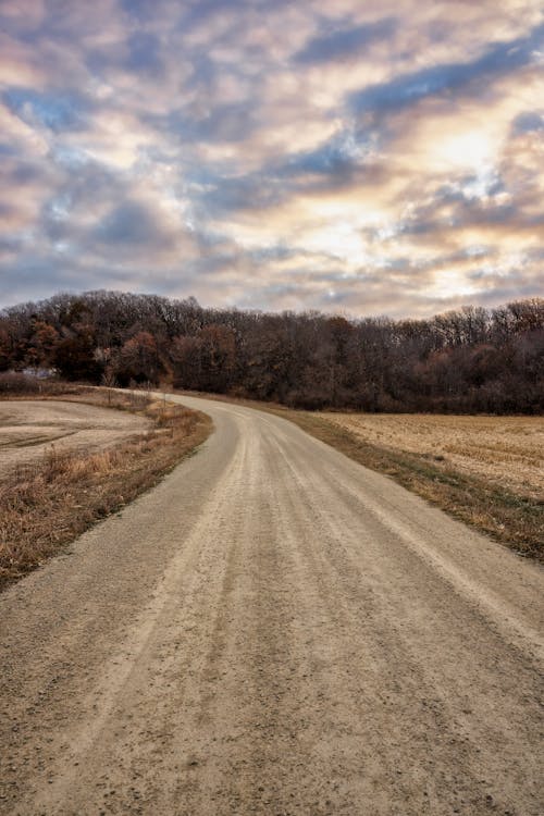 Clouds over Dirt Road near Forest