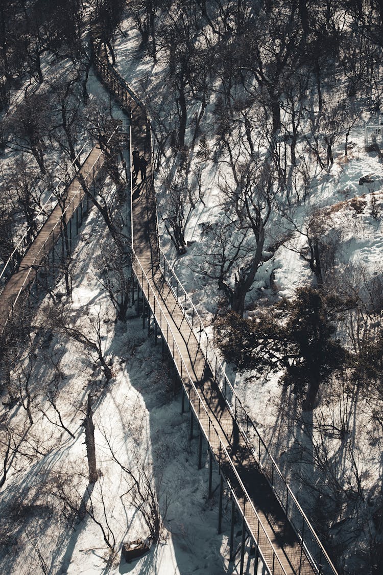 Narrow Wooden Bridge On Snow Covered Ground 