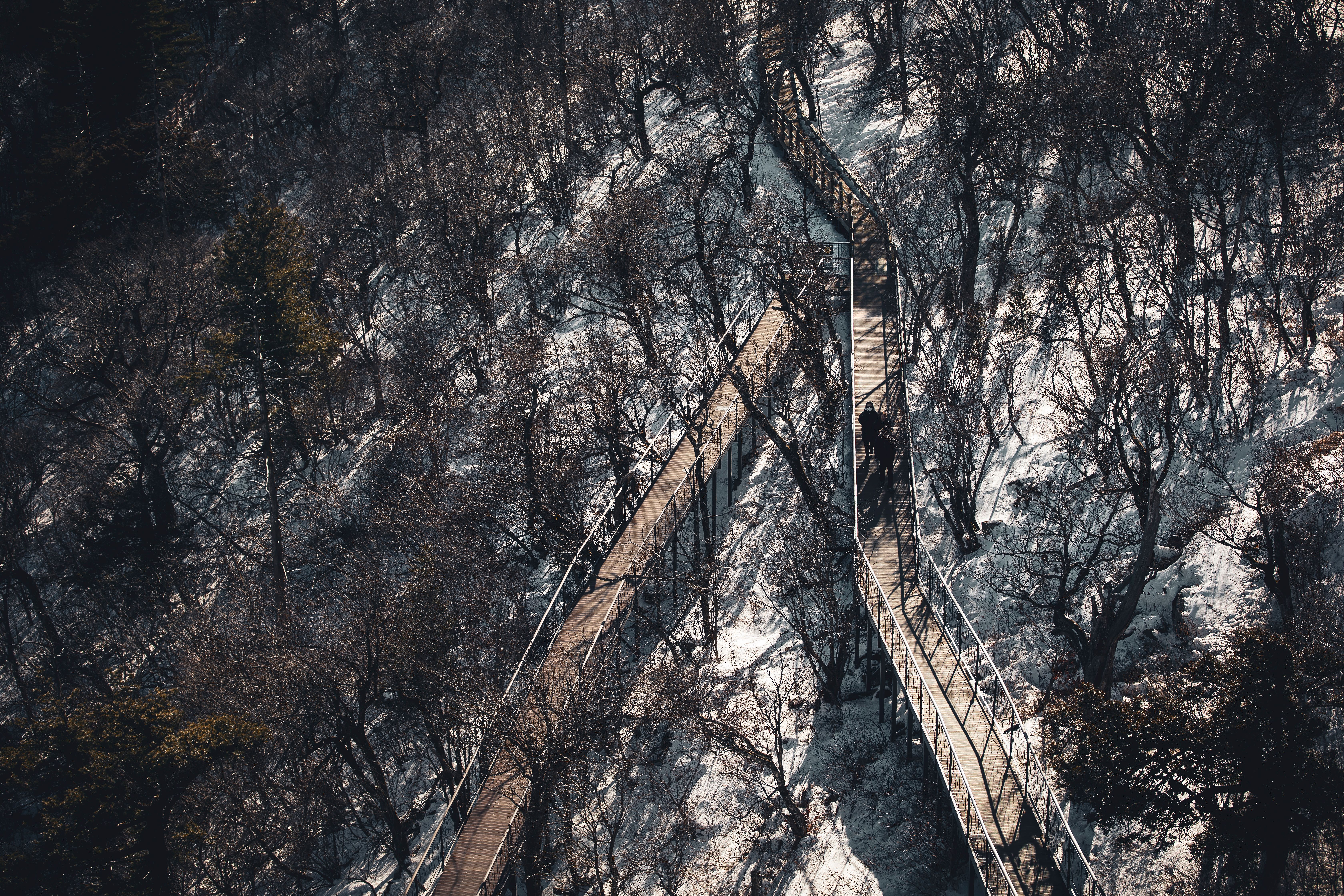 Drone capture of scenic wooden footpaths in a snowy Korean forest during winter.