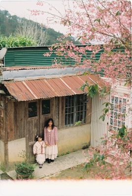 Free A woman and child stand by a rustic house with blooming cherry blossoms overhead. Stock Photo