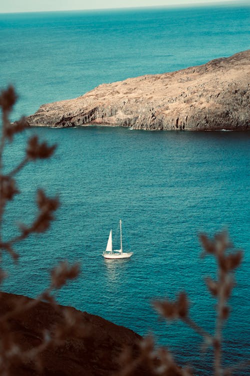 Immagine gratuita di barca, barca a vela, boat