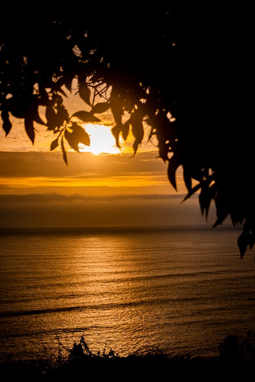 Ocean View During Sunset