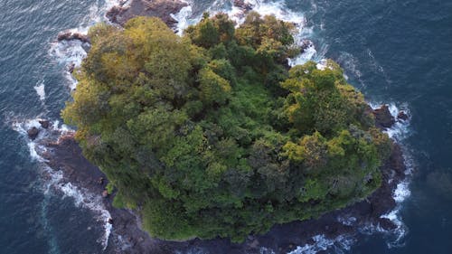 Foto profissional grátis de ao ar livre, árvores, formação geológica