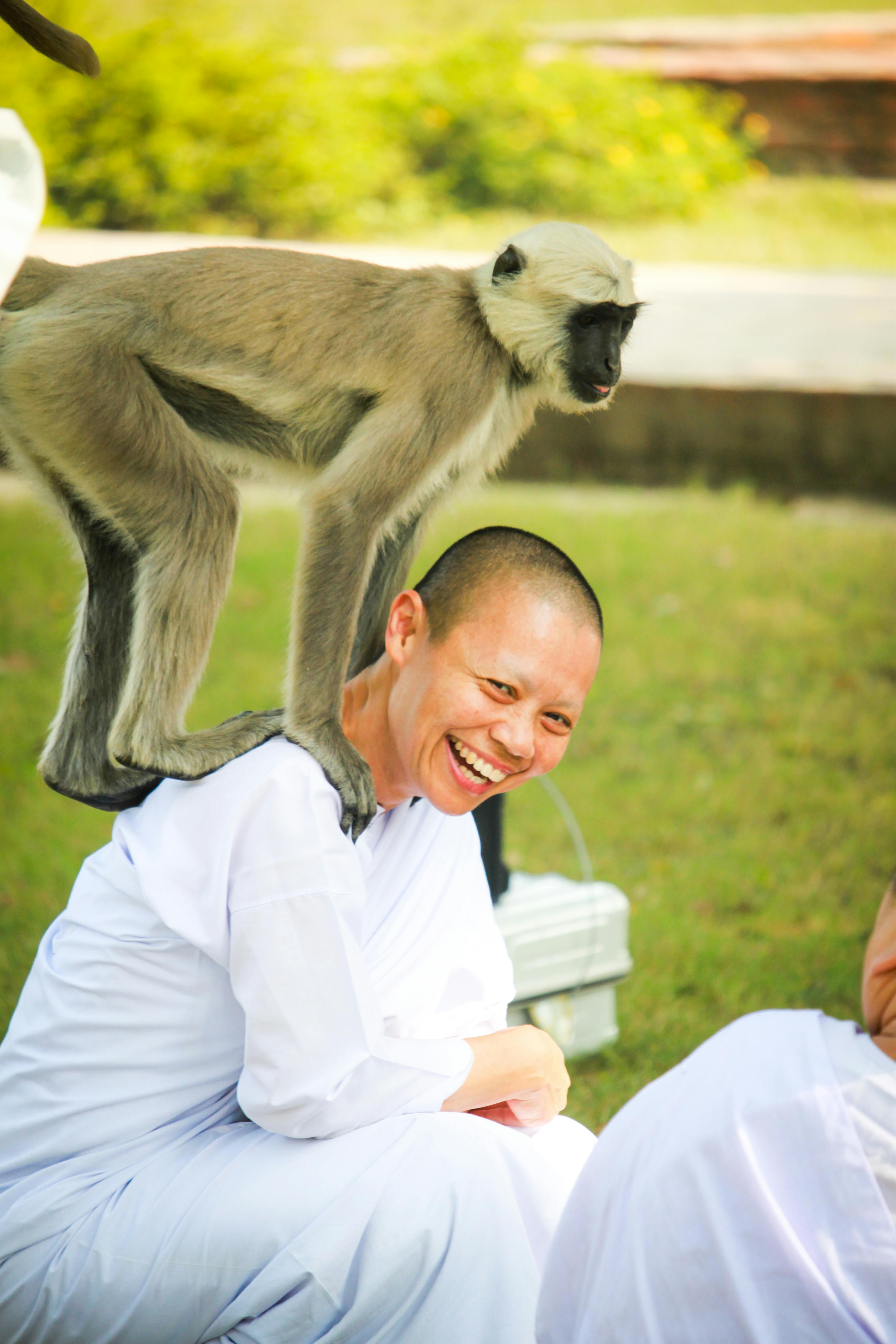 A joyful monk with a langur on her shoulder in a serene setting, Kushinagar.