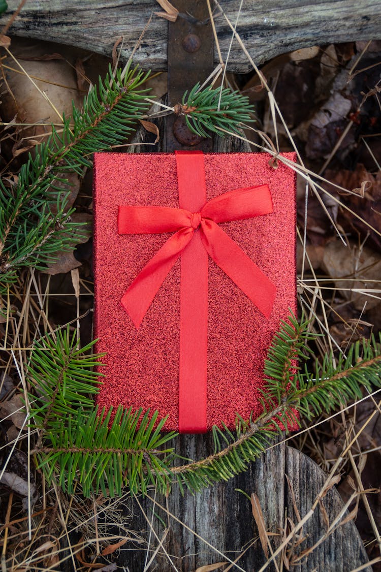 Gift Envelope With Red Bow