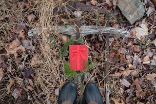 Red glittery present box on a rustic old wooden sled with pine needles and a pair of boots