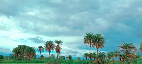 Free stock photo of clouds, greenery, nature Stock Photo