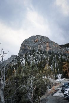 Stunning snowcapped mountain and pine forest scene with a rugged road and parked cars.
