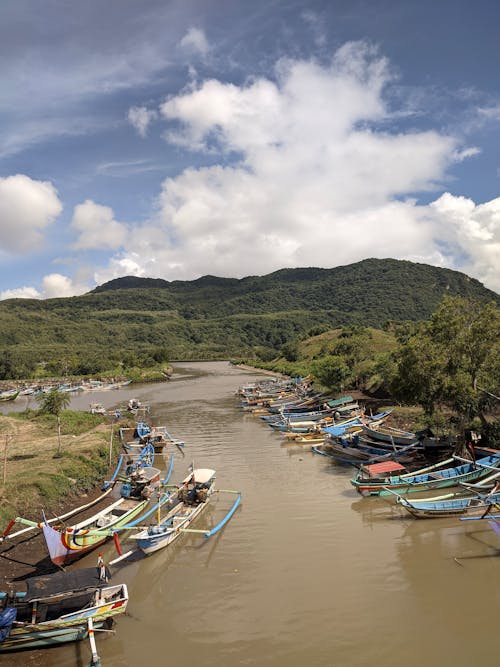 Kostenloses Stock Foto zu alami, kannik, pantai