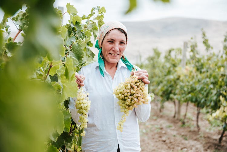 Woman Posing With Grapes In Orchard