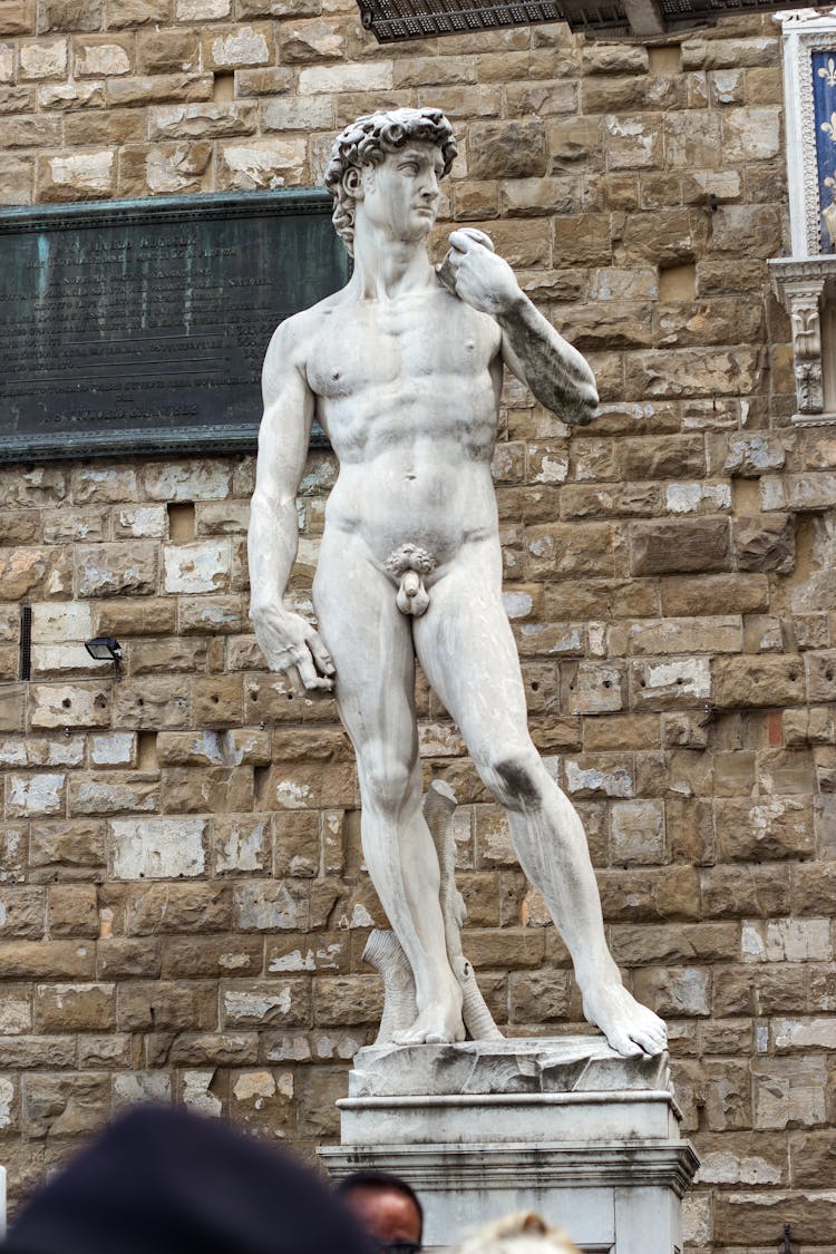 Photograph Of The Statue Of David Of Michelangelo