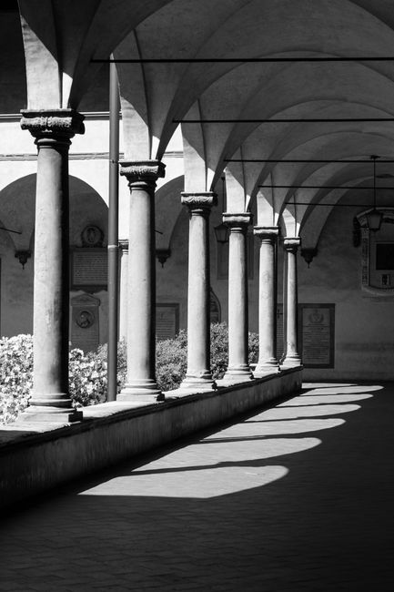 Monochrome image capturing elegant columns and arches in classical architecture.