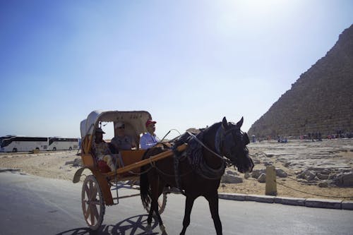 Kostenloses Stock Foto zu Ägypten, reise