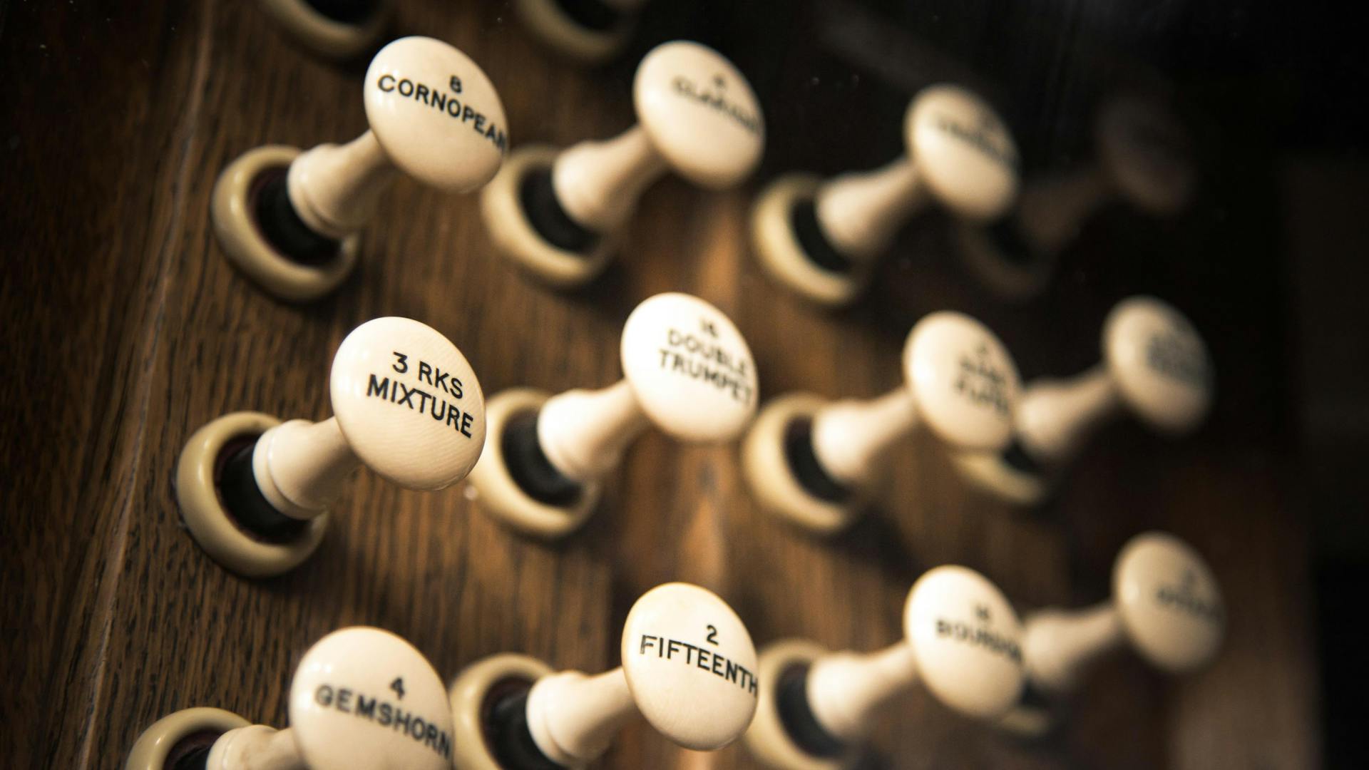 Buttons on Wooden Board