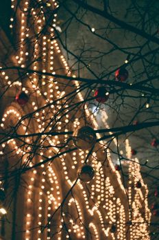 A close-up view of Christmas decorations and lights on tree branches, capturing a festive nighttime ambiance.
