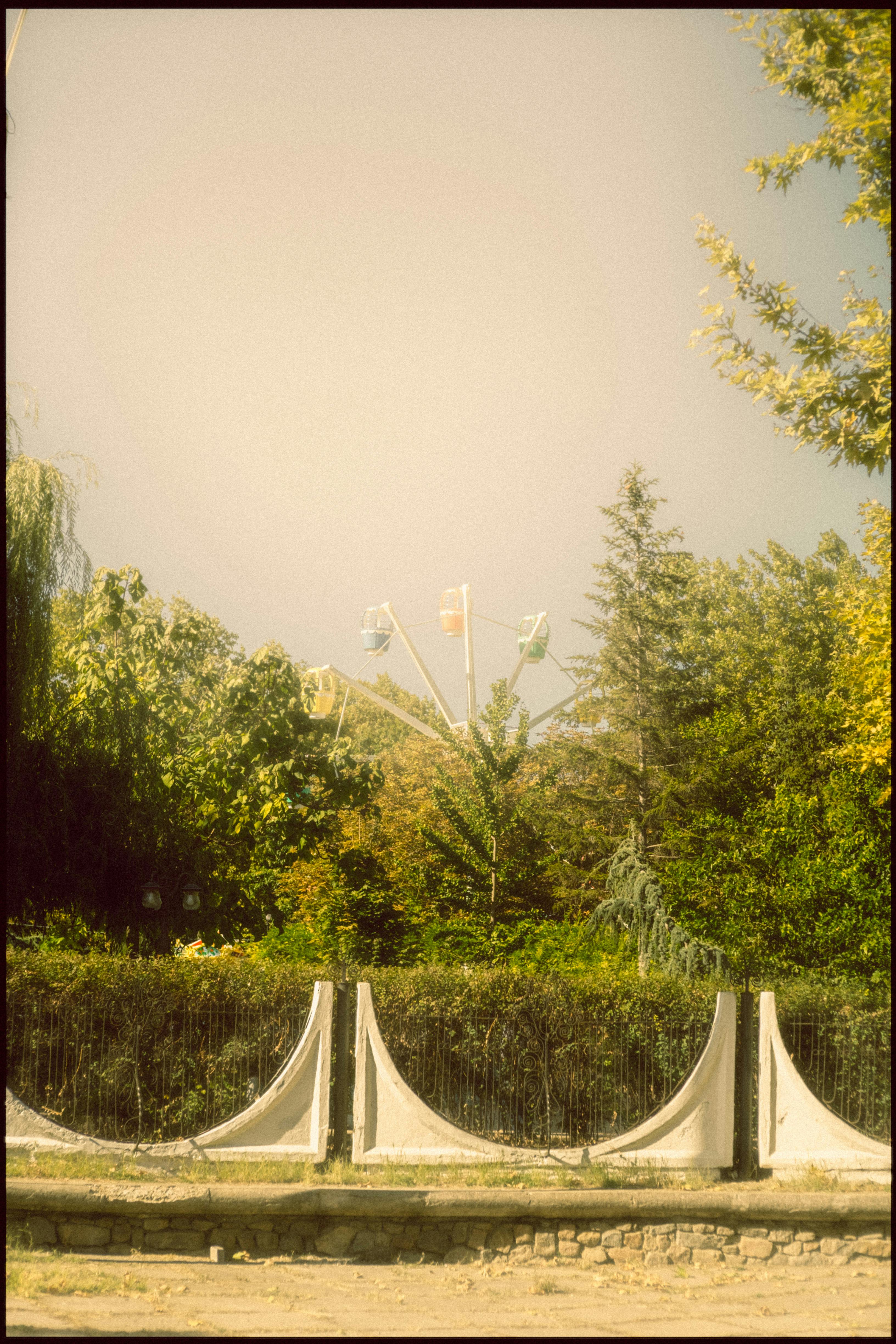 cloud-behind-trees-free-stock-photo