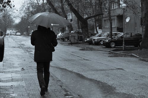 Fotos de stock gratuitas de calle, caminando, de espaldas