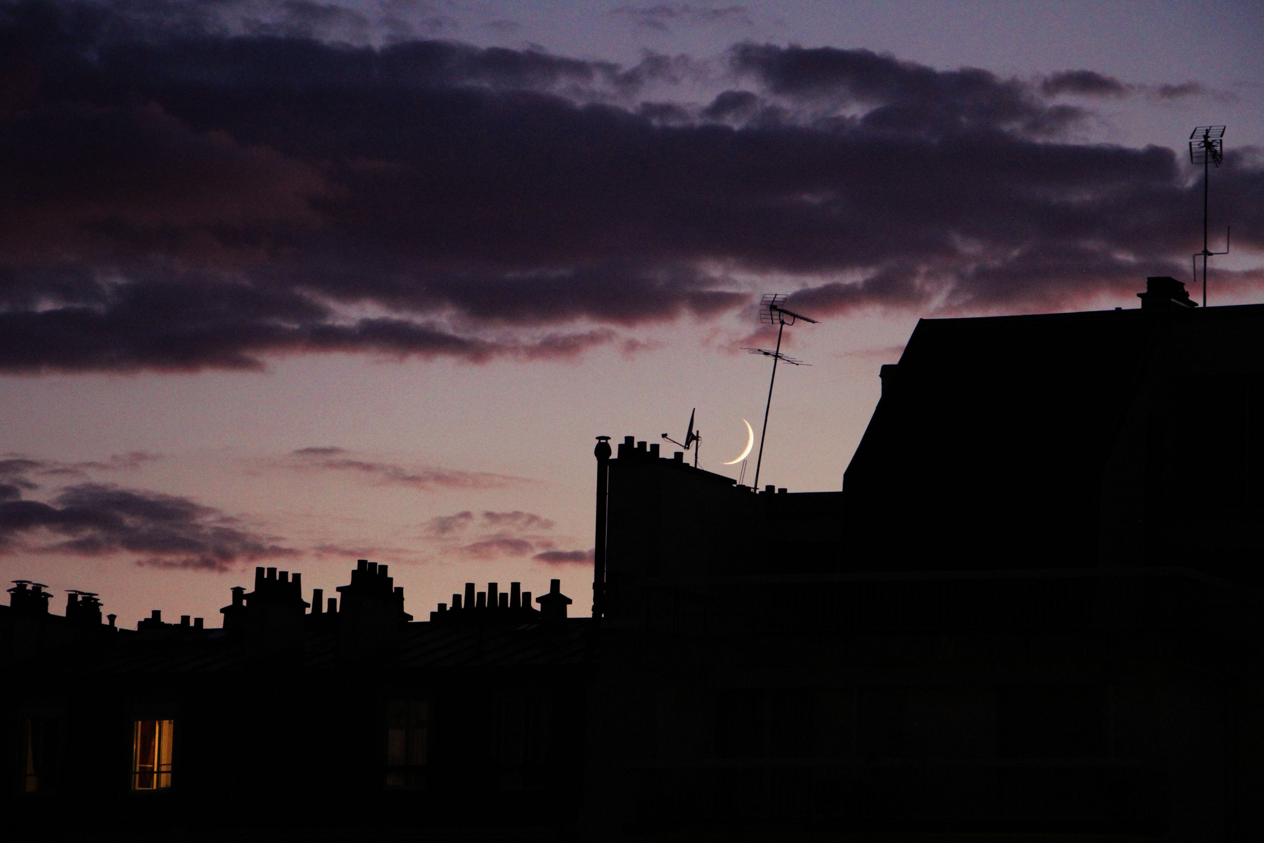 Silhouetted rooftops against a twilight sky with a crescent moon, capturing urban serenity.