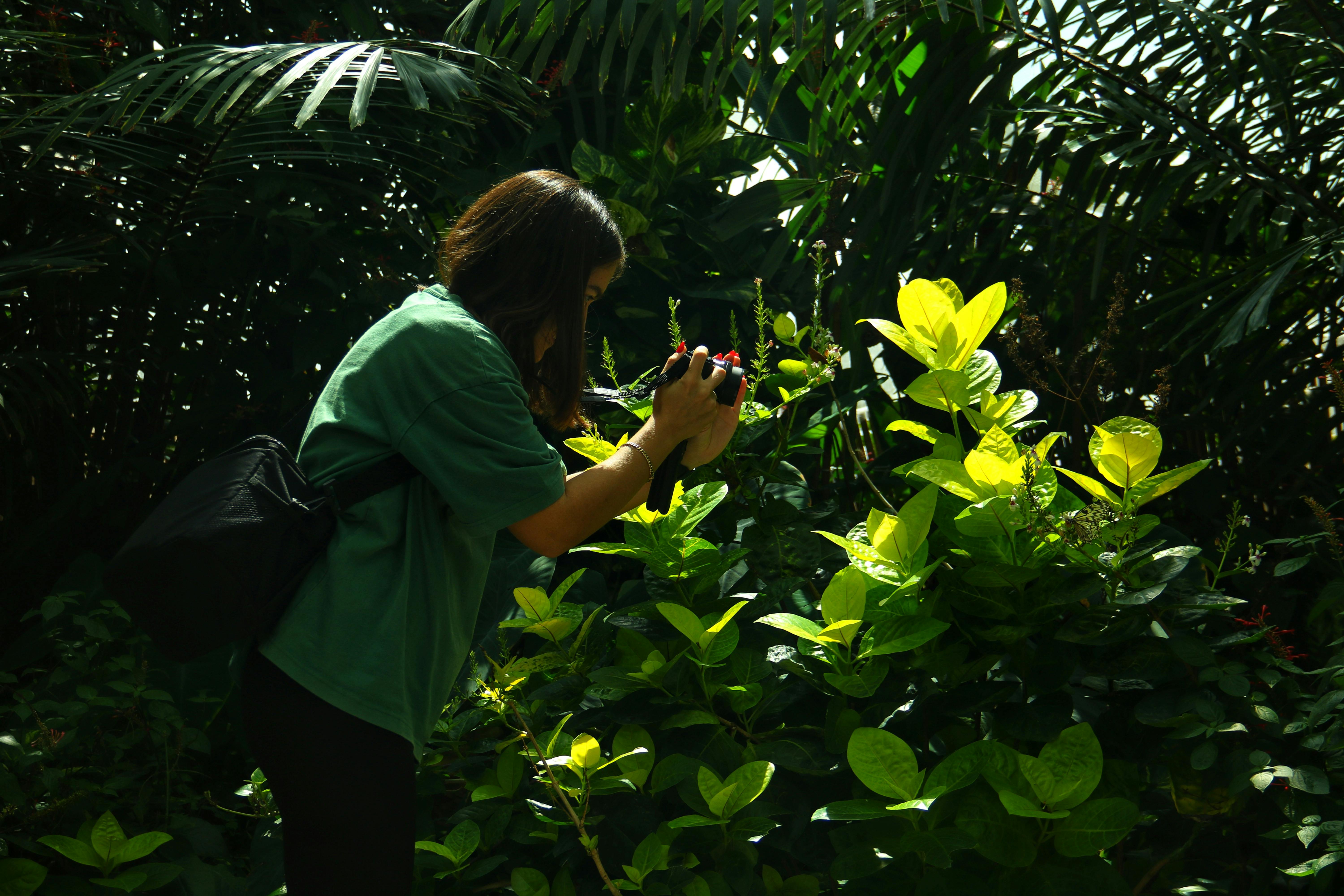 Student photography exhibit debuts at TPA honoring local teen’s creative legacy — Photo by Neriman Özaydın on Pexels