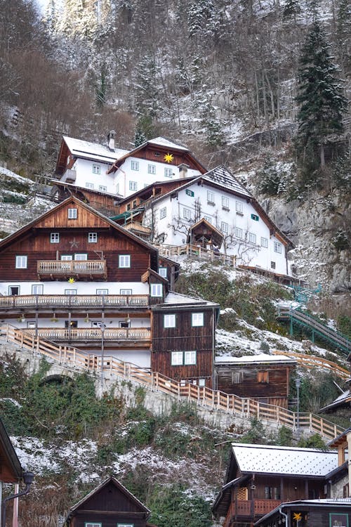 Wooden Buildings Among Coniferous Trees 