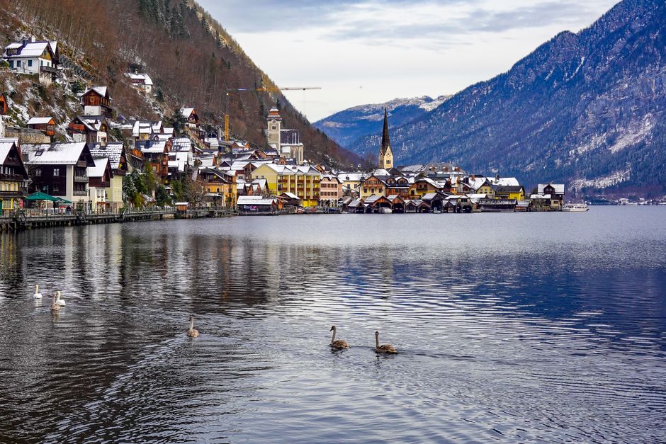 Picturesque winter view of Hallstatt village with swans swimming on the lake.