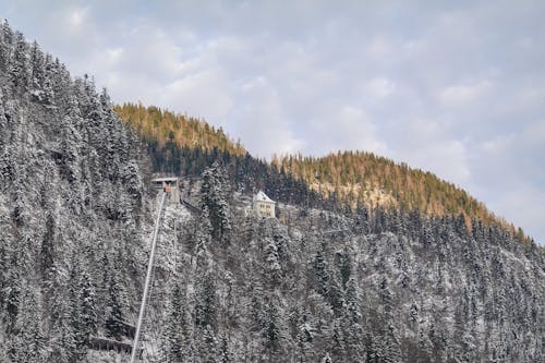 Clouds over Forest on Hill in Winter