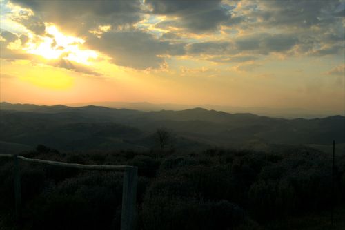 Free Sunset  Stock Photo