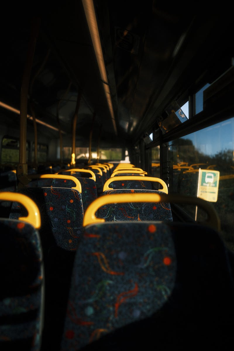 Cerveza Bus Photos Download The BEST Free Cerveza Bus Stock Photos Cerveza Bus Photos Download The BEST Free Cerveza Bus Stock Photos