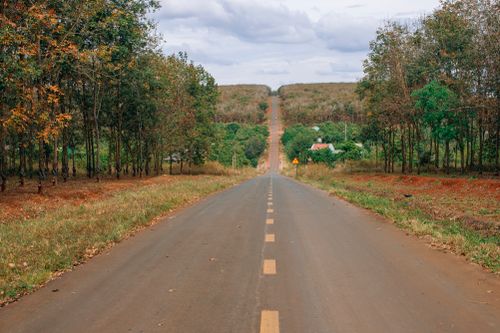 Free Long road stretches through a vibrant autumn forest, capturing serene natural beauty. Stock Photo